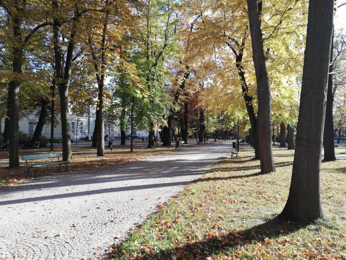 Apartamento Waniliowe Zacisze Jelenia Góra Exterior foto